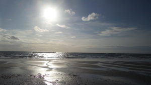 Davis Locksmiths are the local firm for London